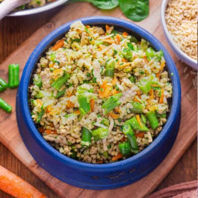 Homemade Dog Food feature