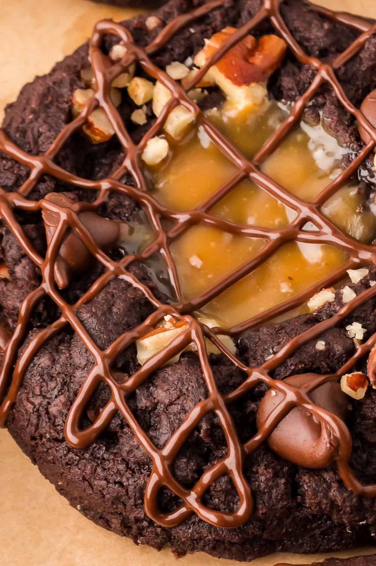 Close up of a turtle cookie