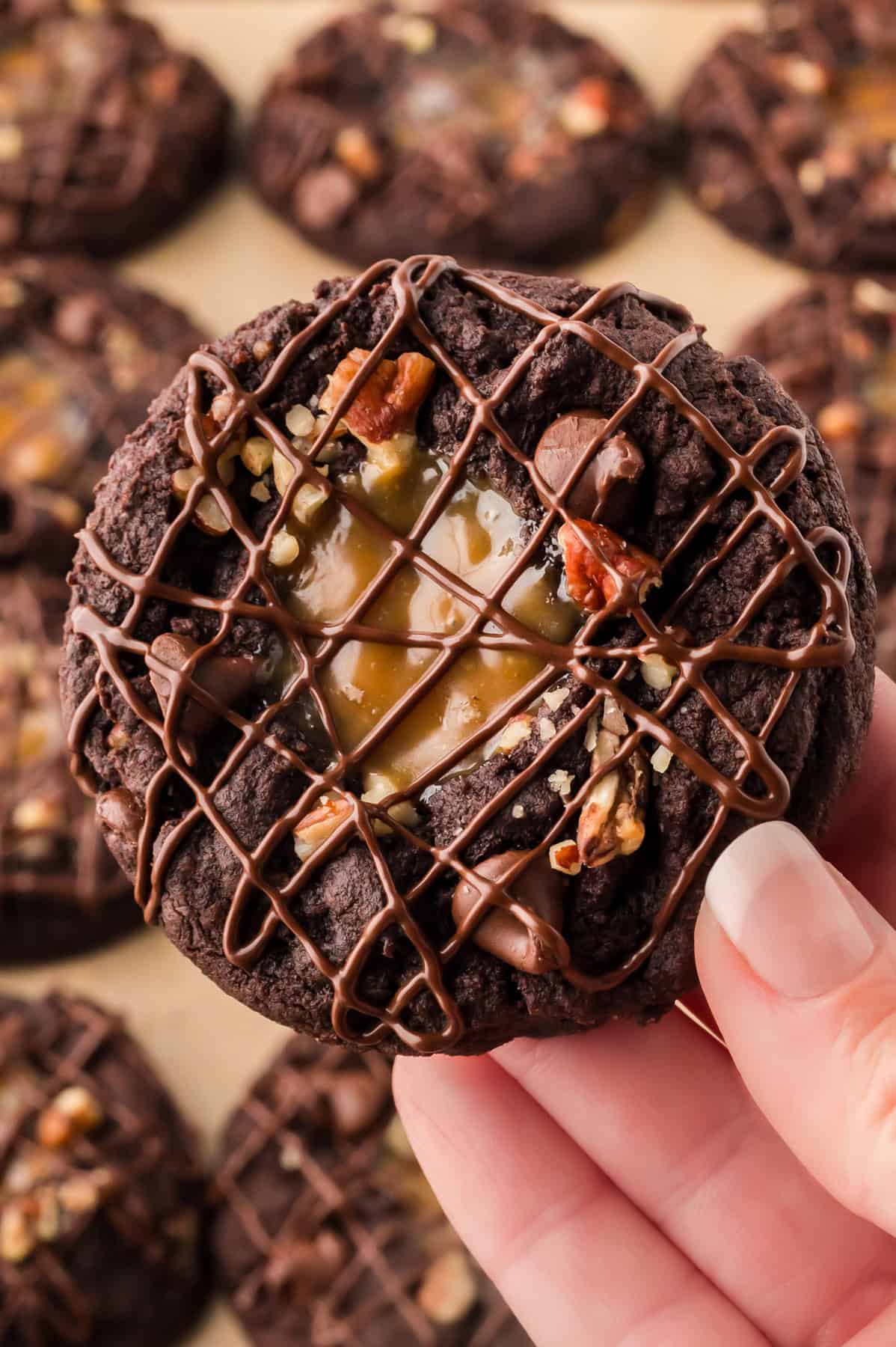 A hand holding a turtle cookie