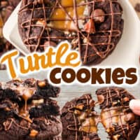 Turtle Cookies pin