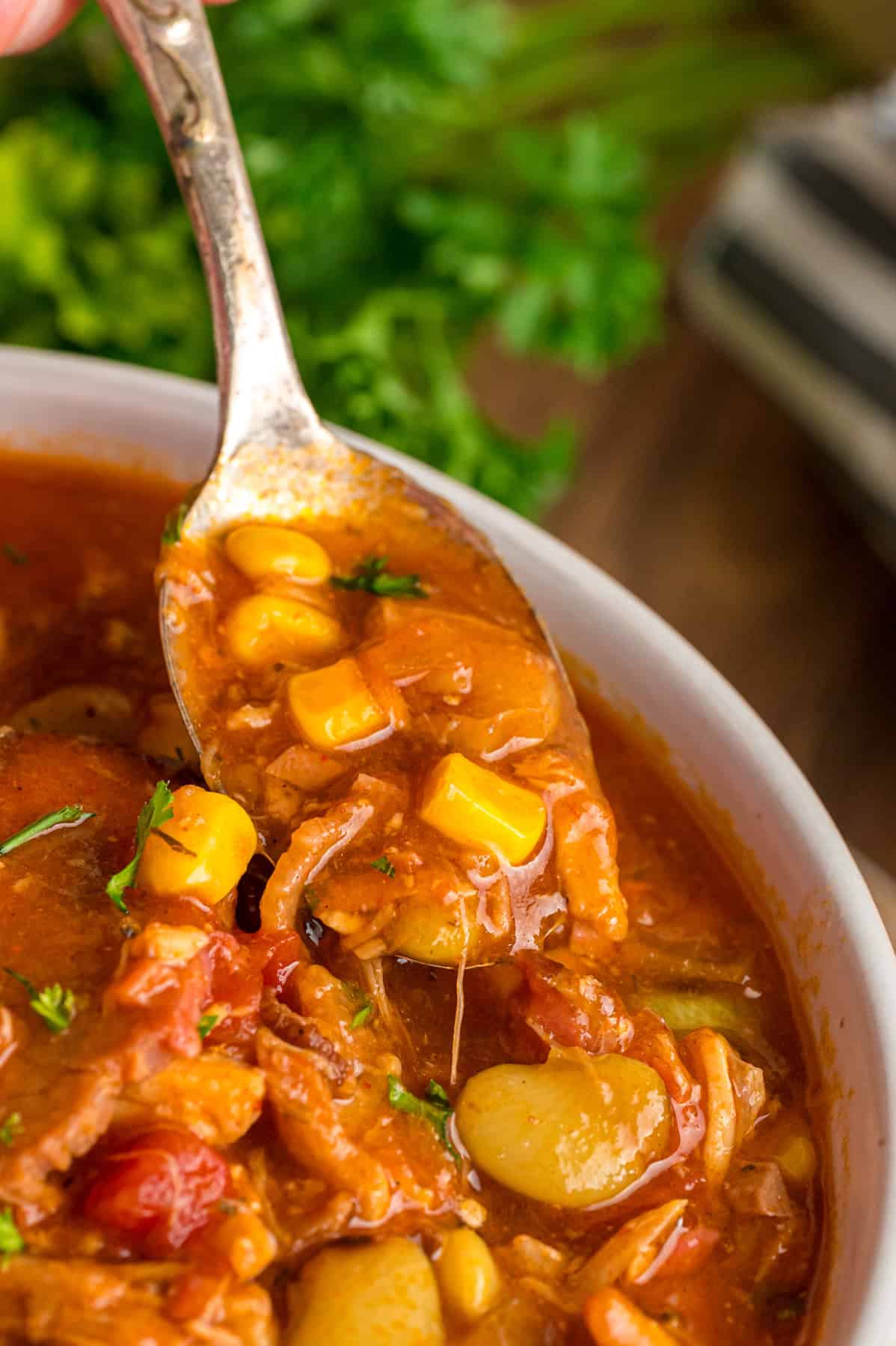 A spoon over a bowl of Brunswick stew
