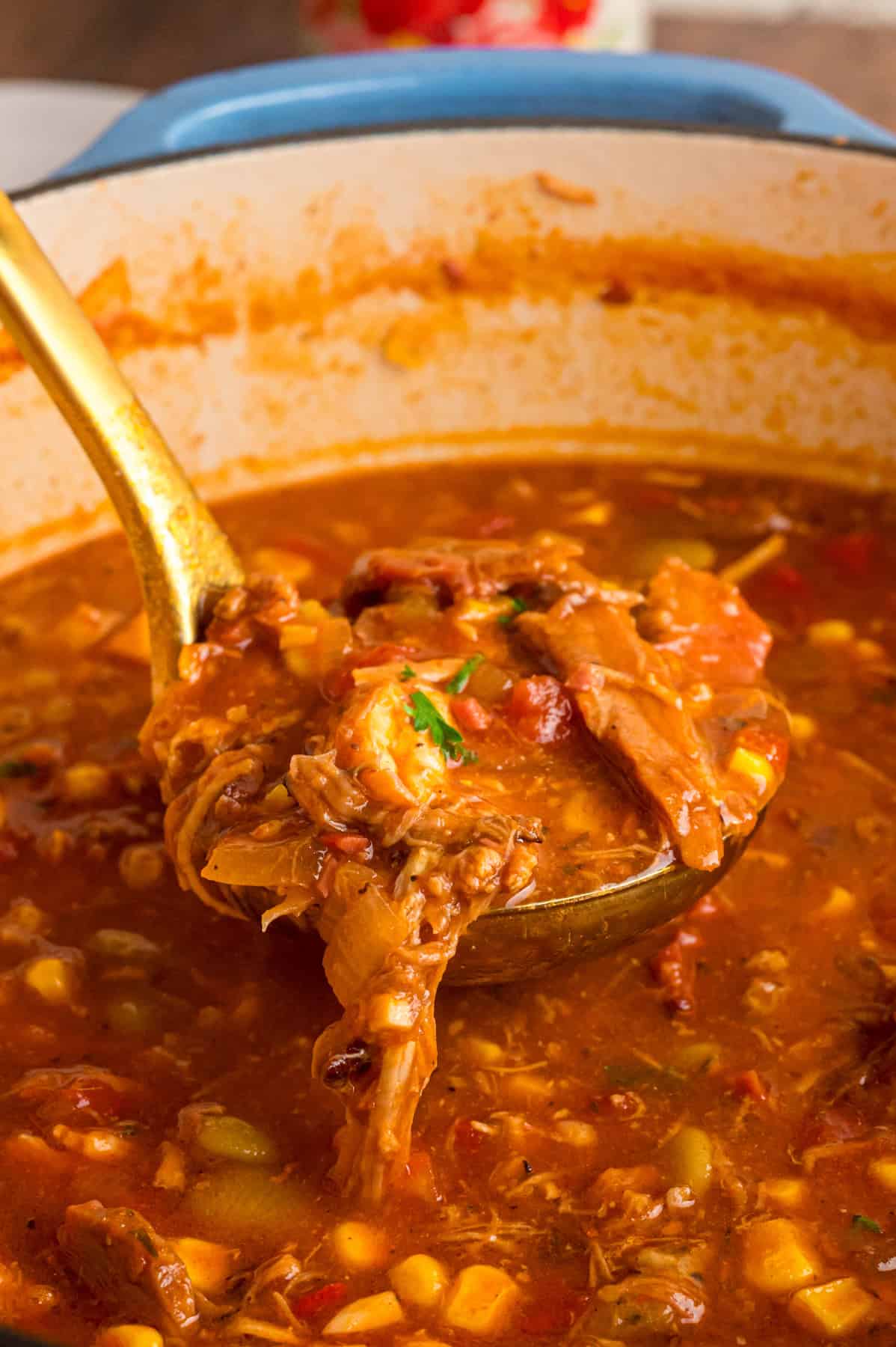 A ladle of Brunswick stew of a pot