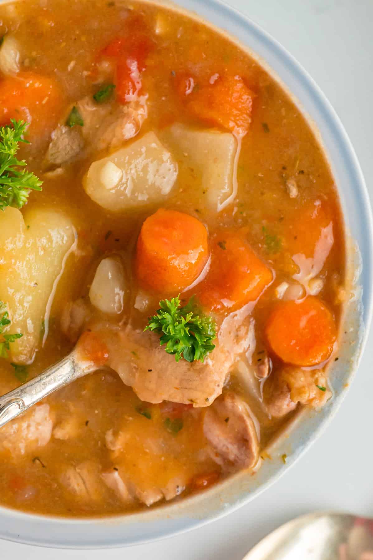 A spoon in a bowl of pork stew