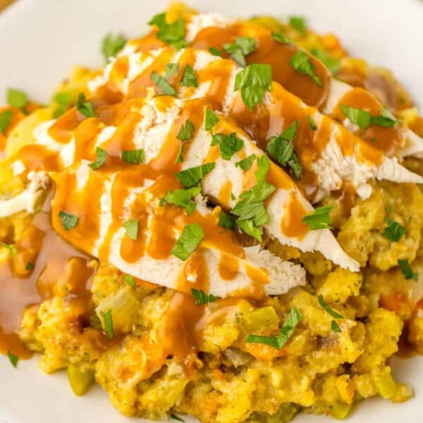 Crockpot Chicken and Stuffing feature