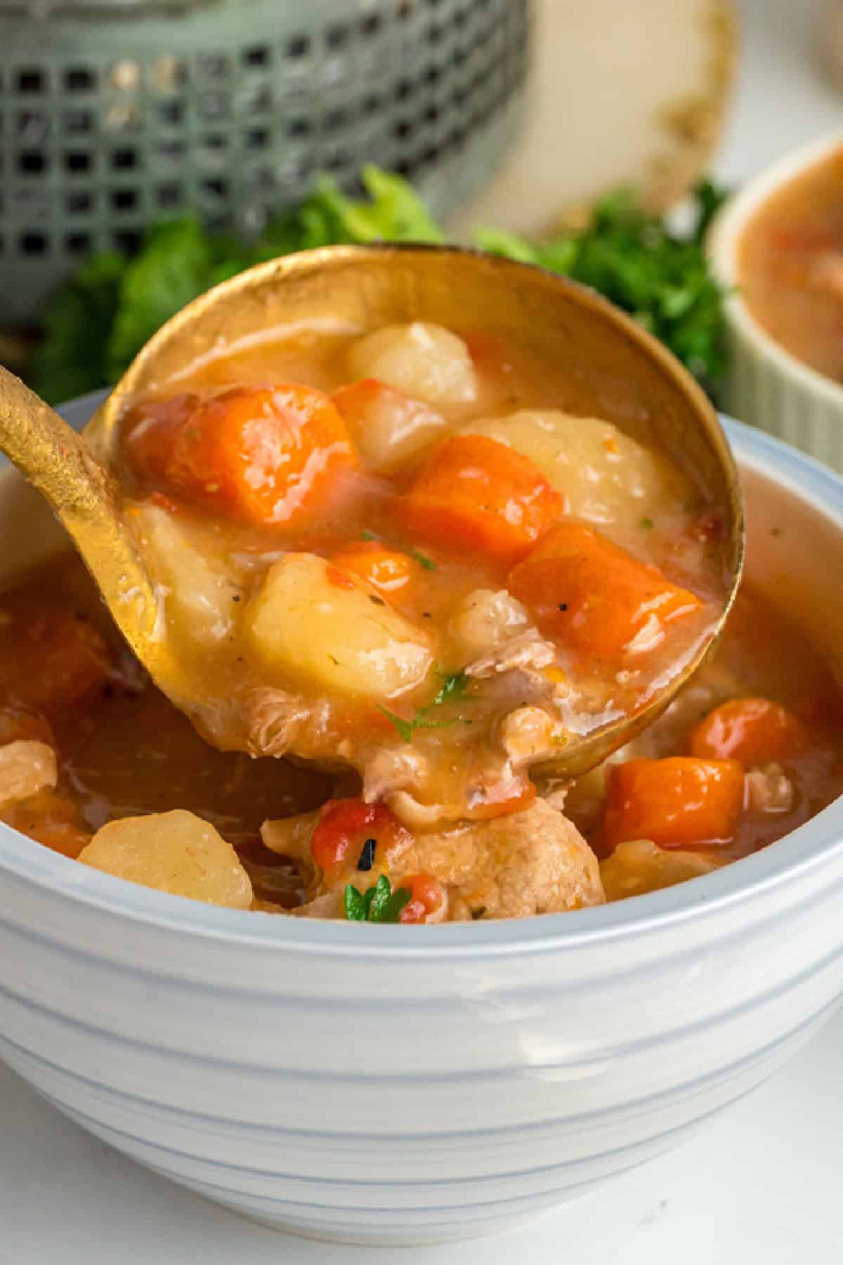 This Pork Stew recipe is loaded with chunks of juicy pork tenderloin, tender potatoes, and carrots in a savory tomato broth. Easy & filling. Pork Stew in a bowl
