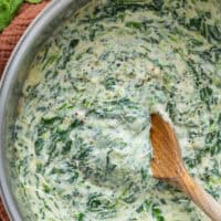 Creamed Spinach feature