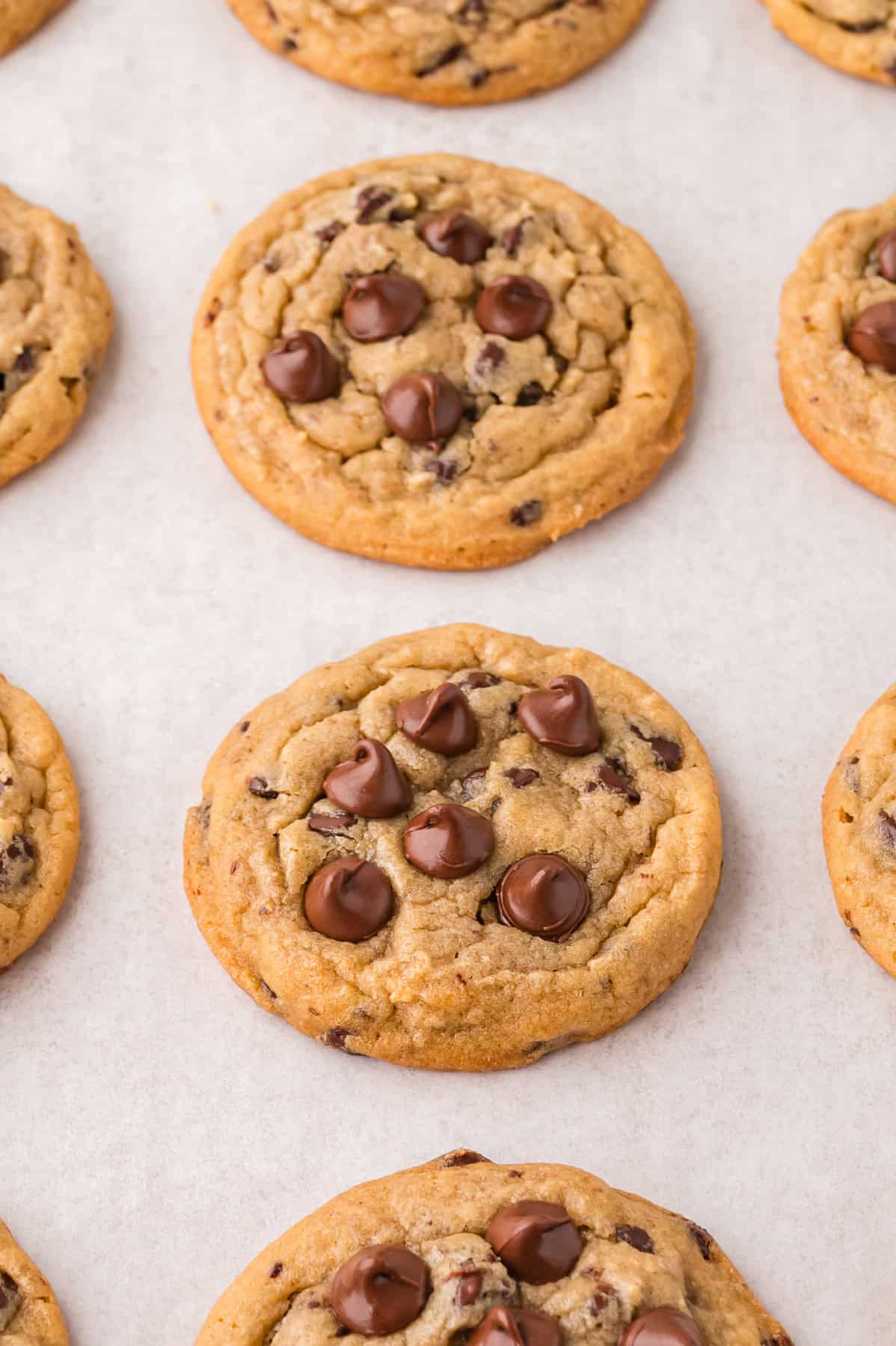Chocolate chip cookies on a counter