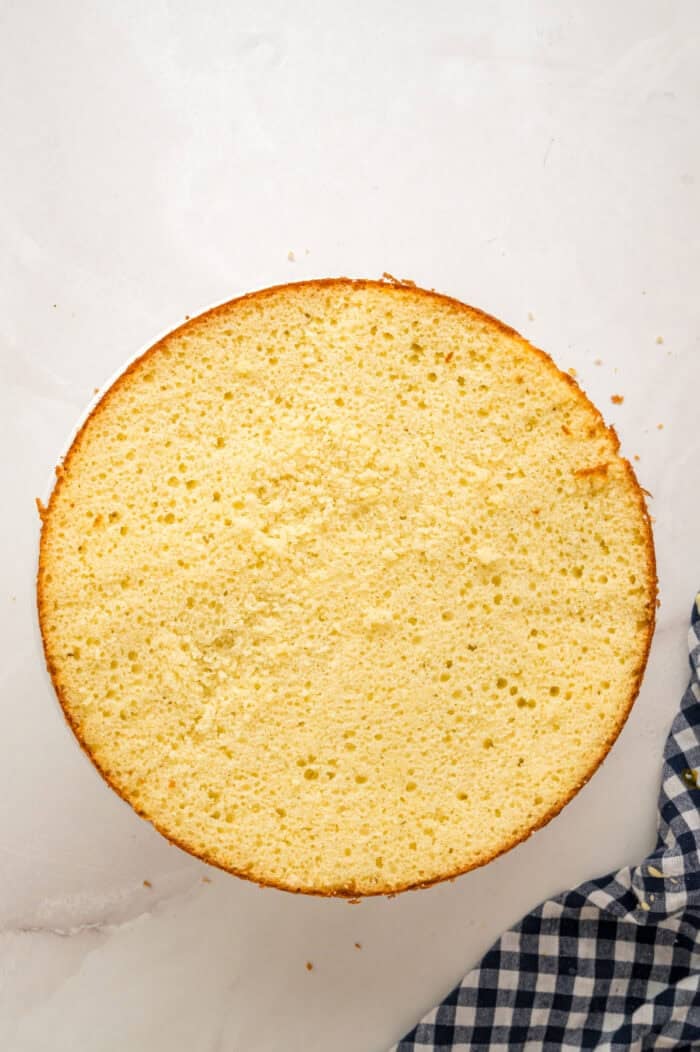 A cake layer on a cake stand