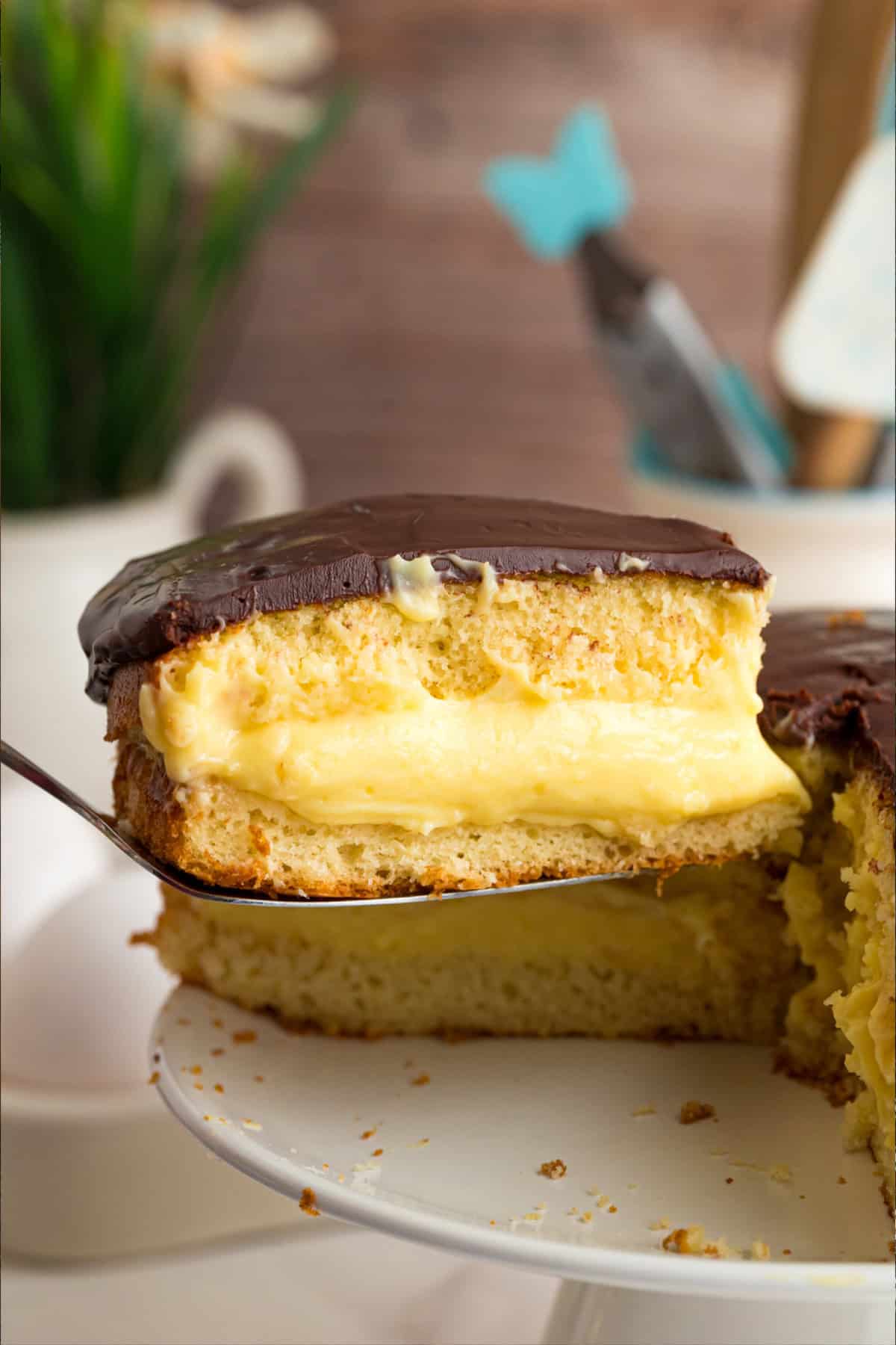 Boston Cream Pie slice
