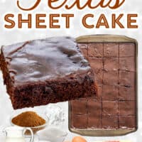 Texas Sheet Cake pin