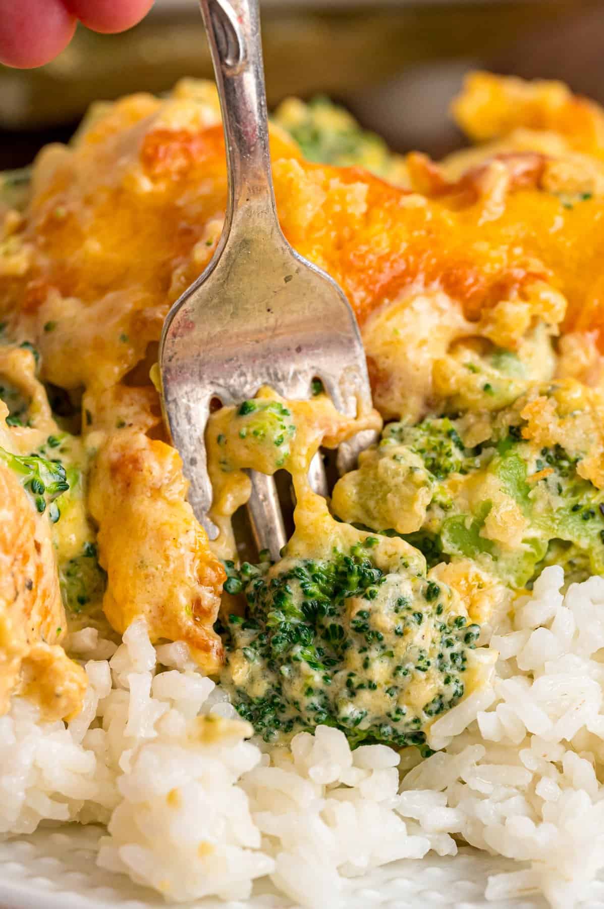 A fork in chicken divan with rice