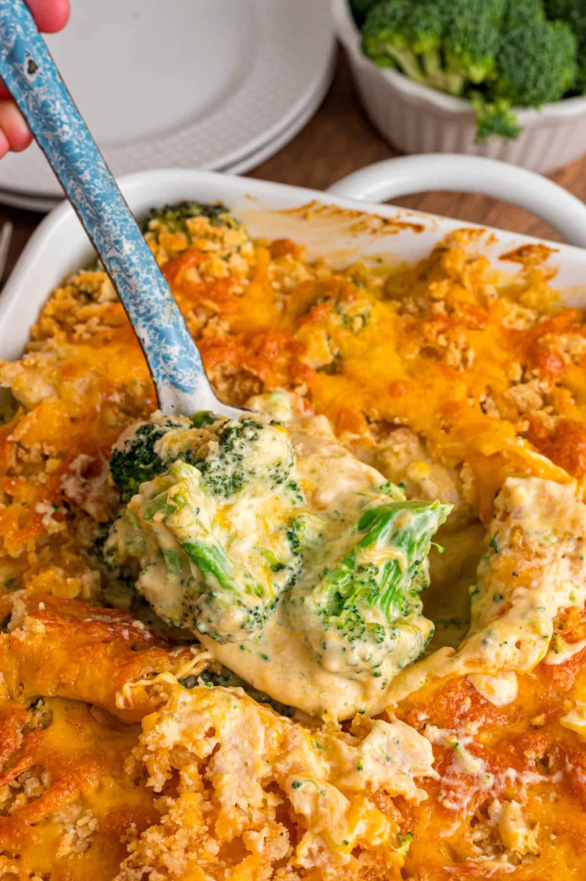 Made with creamy broccoli cheddar soup, juicy pieces of chicken, broccoli, and lots of cheese, Chicken Divan is an easy, cheesy casserole. A spoon in chicken divan casserole