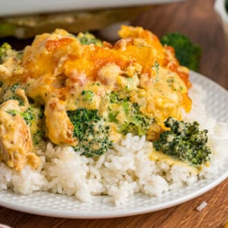 Chicken Divan feature
