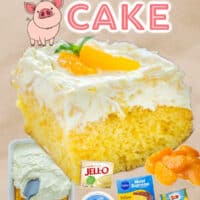 Pig Pickin' Cake pin