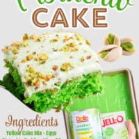 Pistachio Cake pin