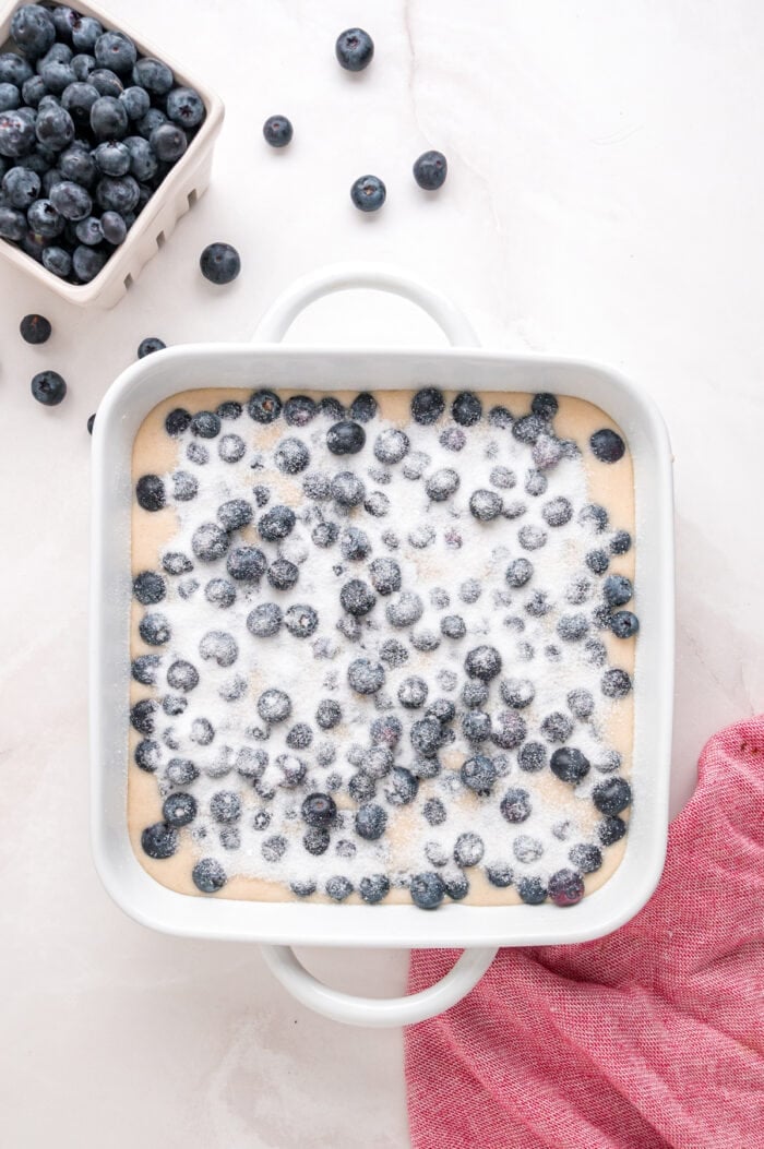 Sugar sprinkled on top of the blueberries