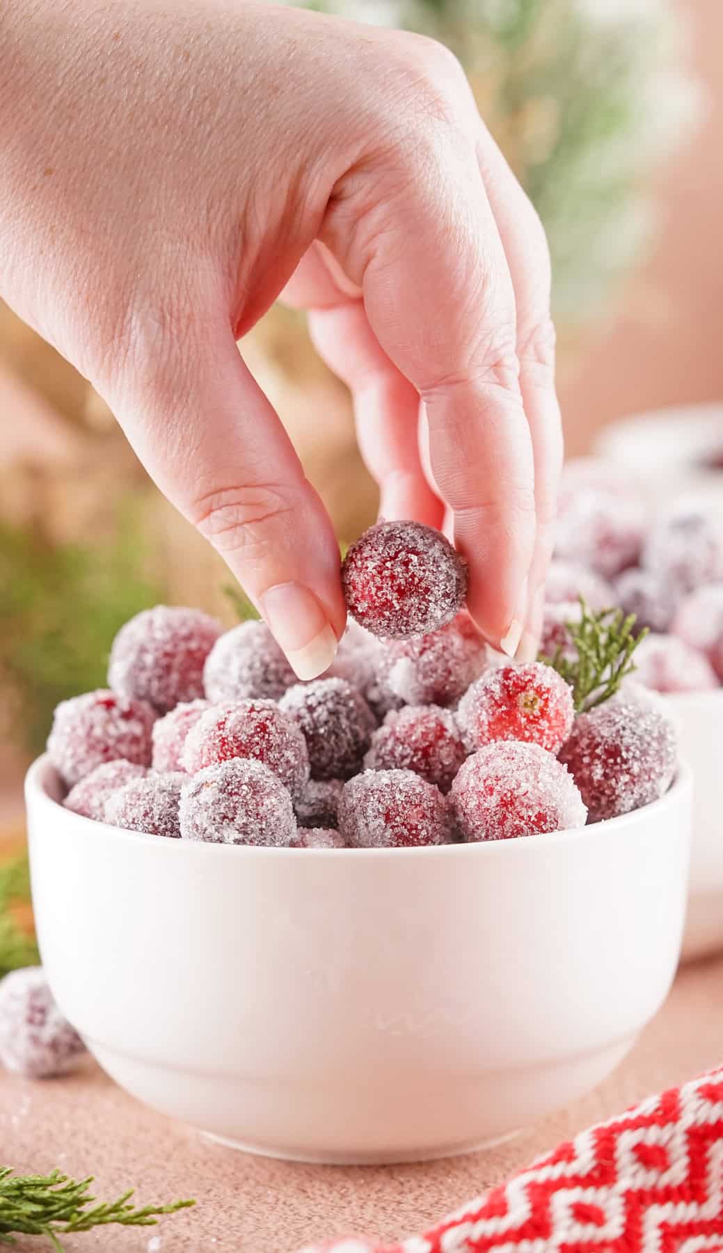 Sugared Cranberries are a gorgeous and easy holiday treat that can be used as a garnish or decoration, or simply a snack! A hand pulling sugared cranberries from a bowl