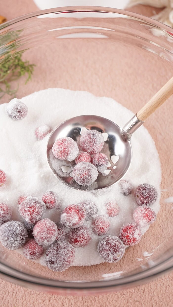 Sugared Cranberries are a gorgeous and easy holiday treat that can be used as a garnish or decoration, or simply a snack! A spoon of sugared cranberries over a bowl of sugar