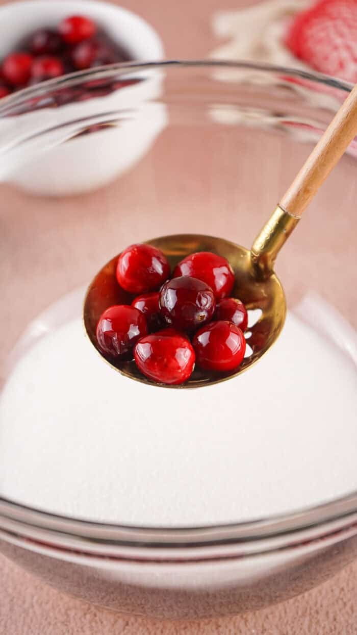 Sugared Cranberries are a gorgeous and easy holiday treat that can be used as a garnish or decoration, or simply a snack! Adding cranberries to a bowl of sugar