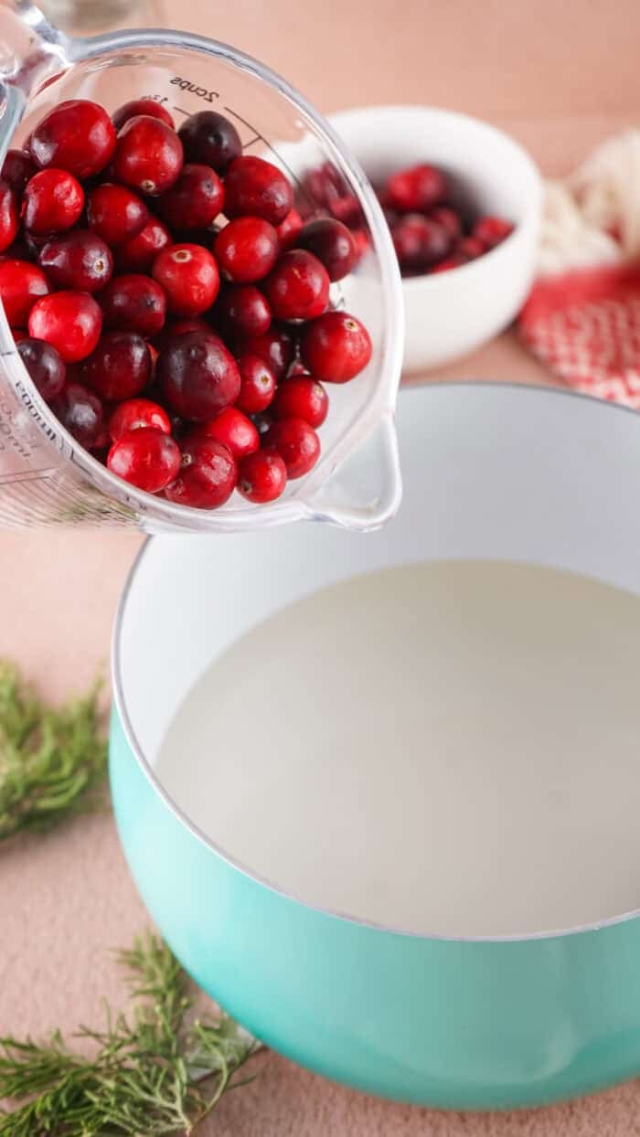 Sugared Cranberries are a gorgeous and easy holiday treat that can be used as a garnish or decoration, or simply a snack! Adding cranberries to simple syrup