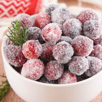 Sugared Cranberries feature