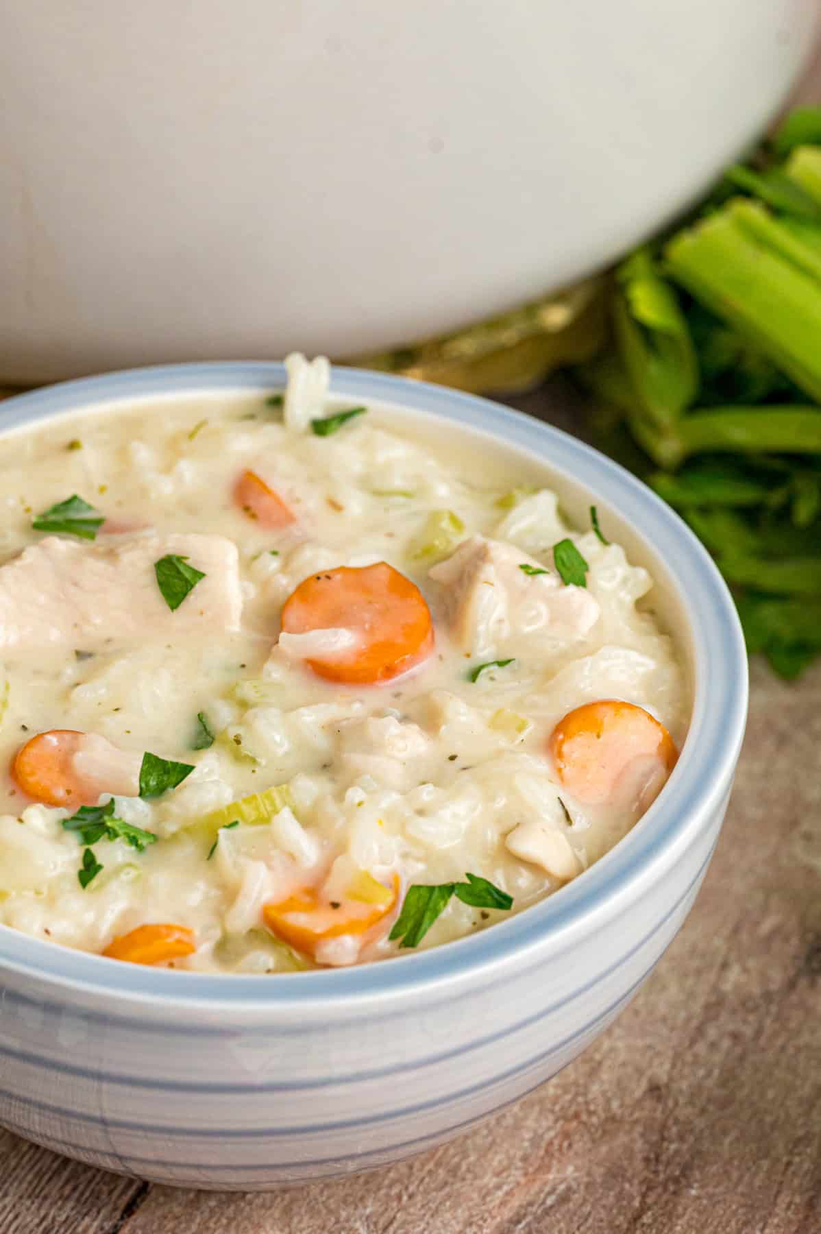 Ready in just under an hour, this Chicken and Rice Soup is quick, easy, and filling. Perfect for busy fall weeknights! A bowl of chicken and rice soup