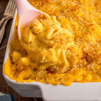 Butternut Squash Mac and Cheese feature