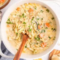 Creamy Chicken Noodle Soup feature