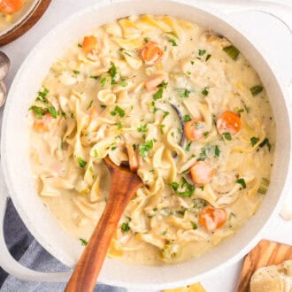 Creamy Chicken Noodle Soup feature