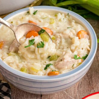 Chicken and Rice Soup feature