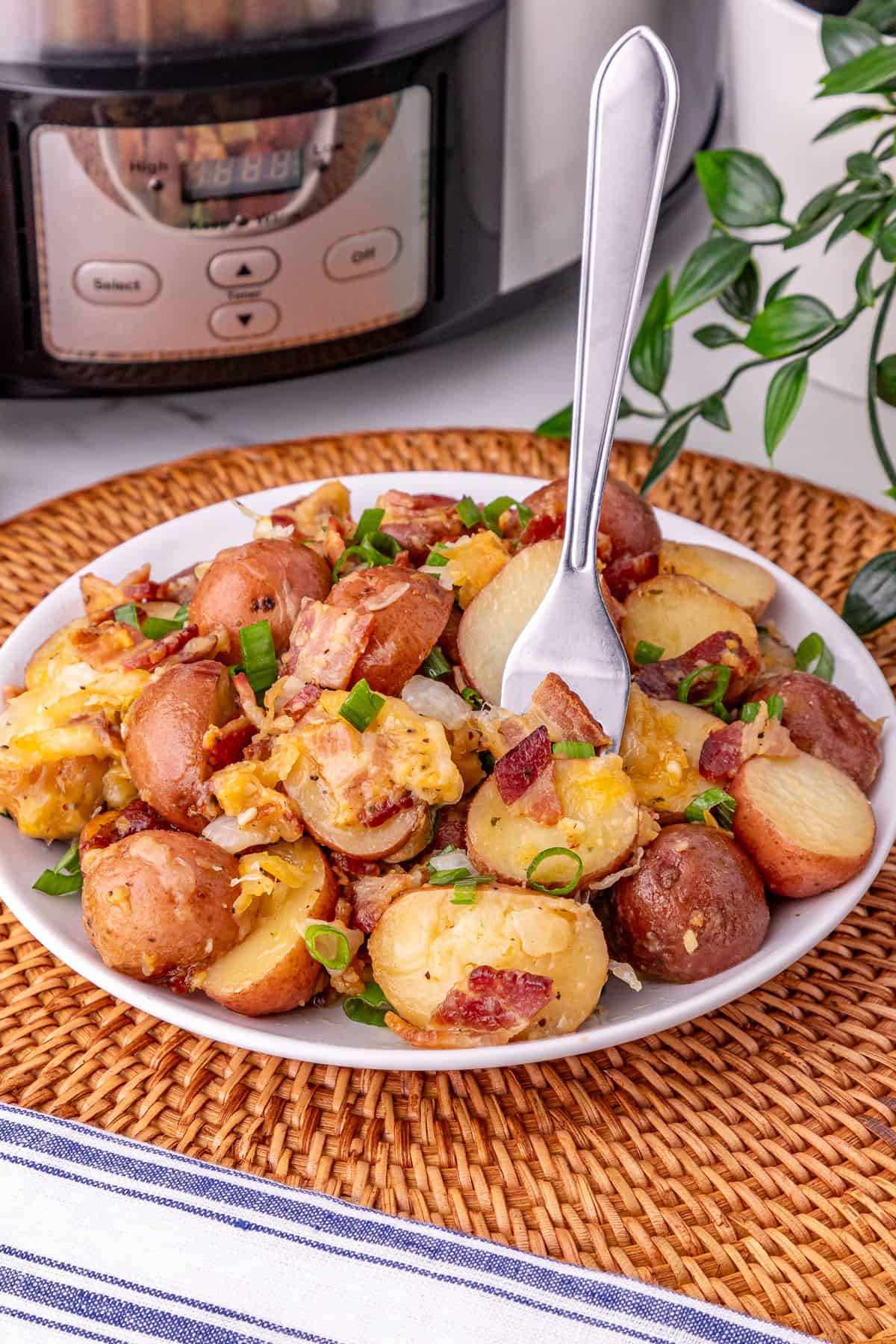 A plate in a plate of cheesy ranch potatoes