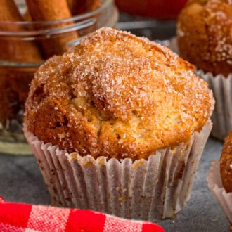 Applesauce Muffins feature