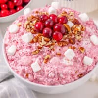 Cranberry Fluff Salad feature