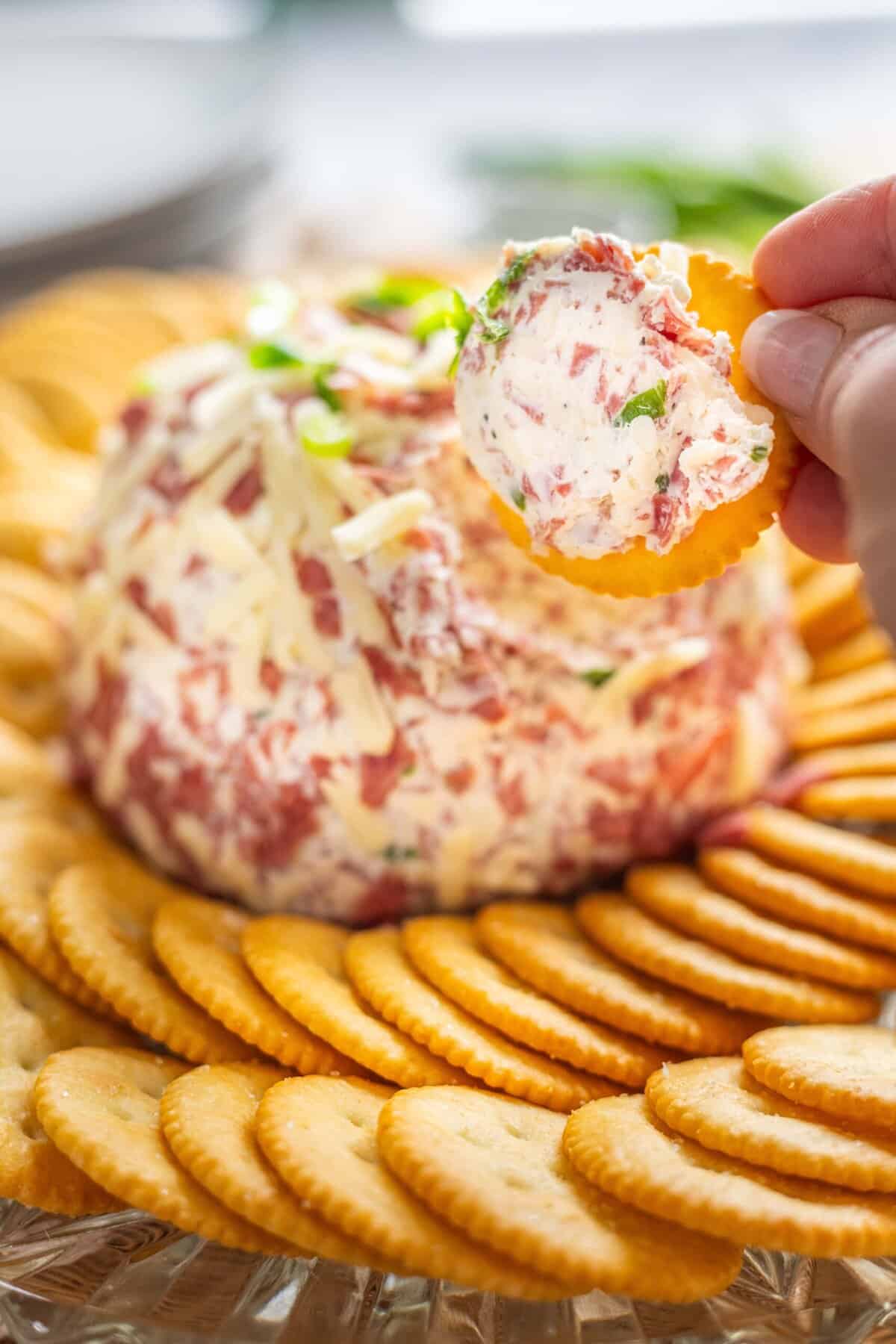 Salty dried beef combines with tangy cream cheese and sharp cheddar cheese to make this irresistible Chipped Beef Cheese Ball. A hand holding a cracker dipped in chipped beef cheese ball