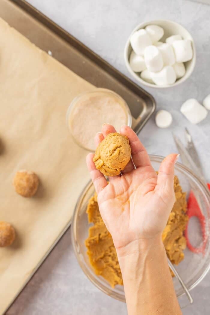 A ball of sweet potato cookie dough in a hand