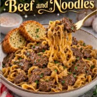 Beef and Noodles pin