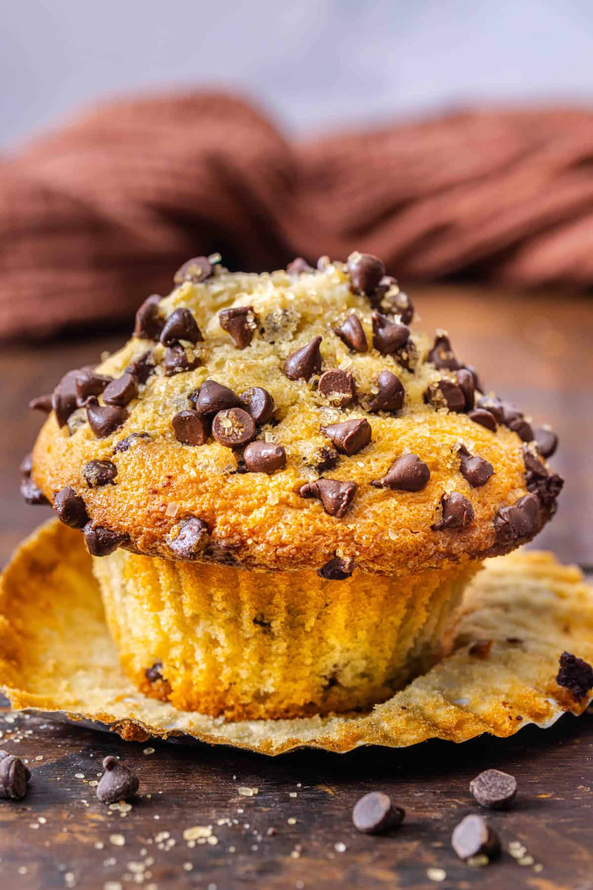 A bakery style chocolate chip muffin with the liner pulled down
