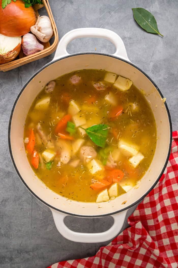 Tender pieces of chicken, potatoes, and veggies are simmered in a lightly creamy broth in this Chicken Stew recipe. Ready in an hour! Broth, chicken, and potatoes added to a pot with veggies