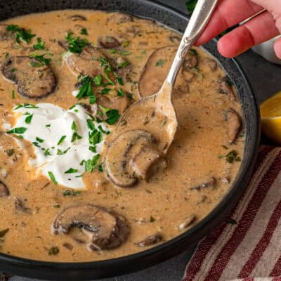Hungarian Mushroom Soup feature