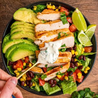 Southwest Chicken Salad feature