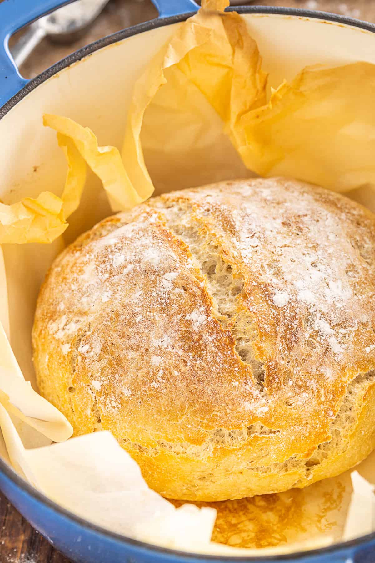 Make a crusty artisan loaf of bread at home with just 10 minutes of prep with this No Knead Dutch Oven Bread recipe. Just 4 ingredients! A loaf of bread in a Dutch oven