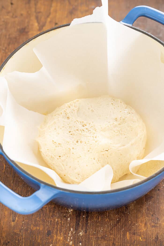 Make a crusty artisan loaf of bread at home with just 10 minutes of prep with this No Knead Dutch Oven Bread recipe. Just 4 ingredients! No knead dough on parchment paper in a Dutch oven