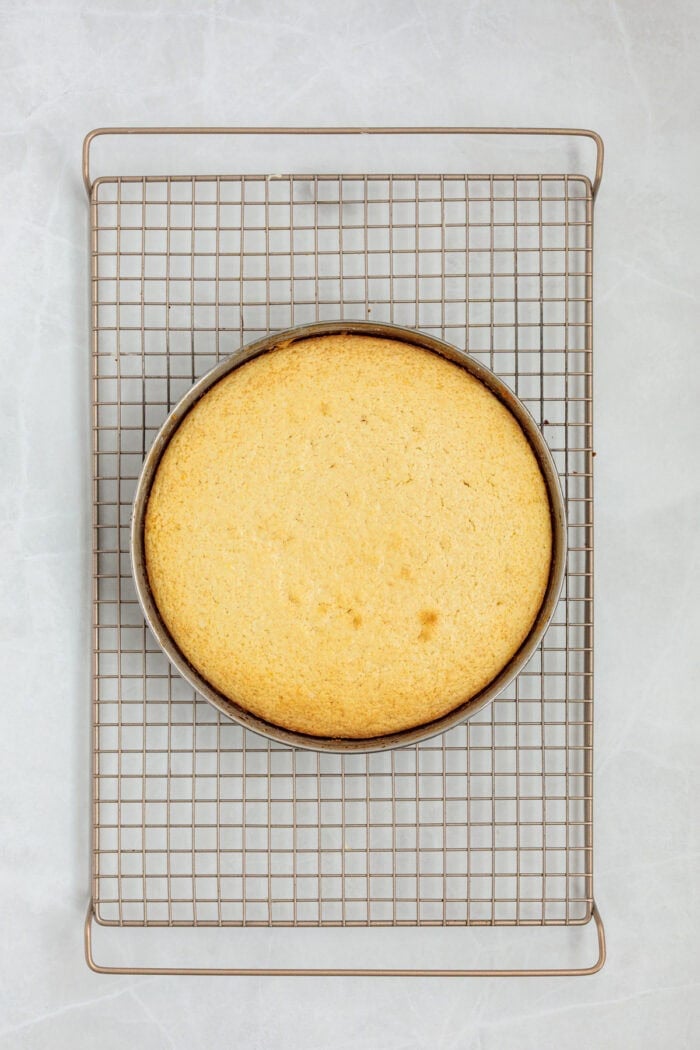 This Limoncello Mascarpone Cake begins with a moist lemon cake topped with limoncello syrup, mascarpone cream, and lemon curd. Baked lemon cake in a circle pan