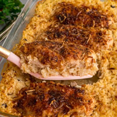 Forgotten Chicken feature