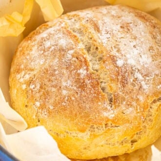 No Knead Dutch Oven Bread feature