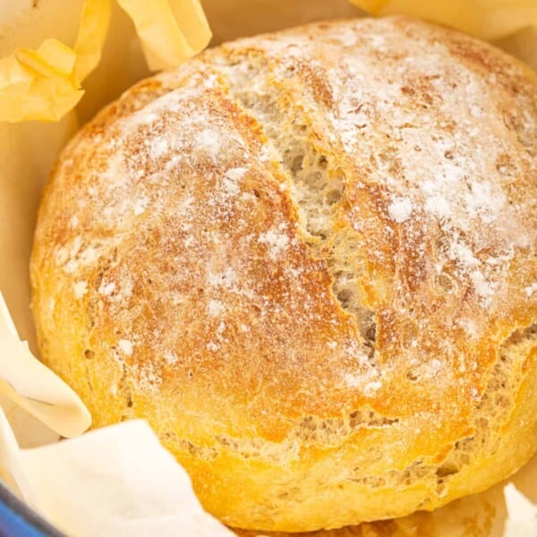 No Knead Dutch Oven Bread feature
