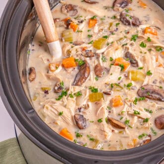 Crock Pot Chicken Wild Rice Soup feature
