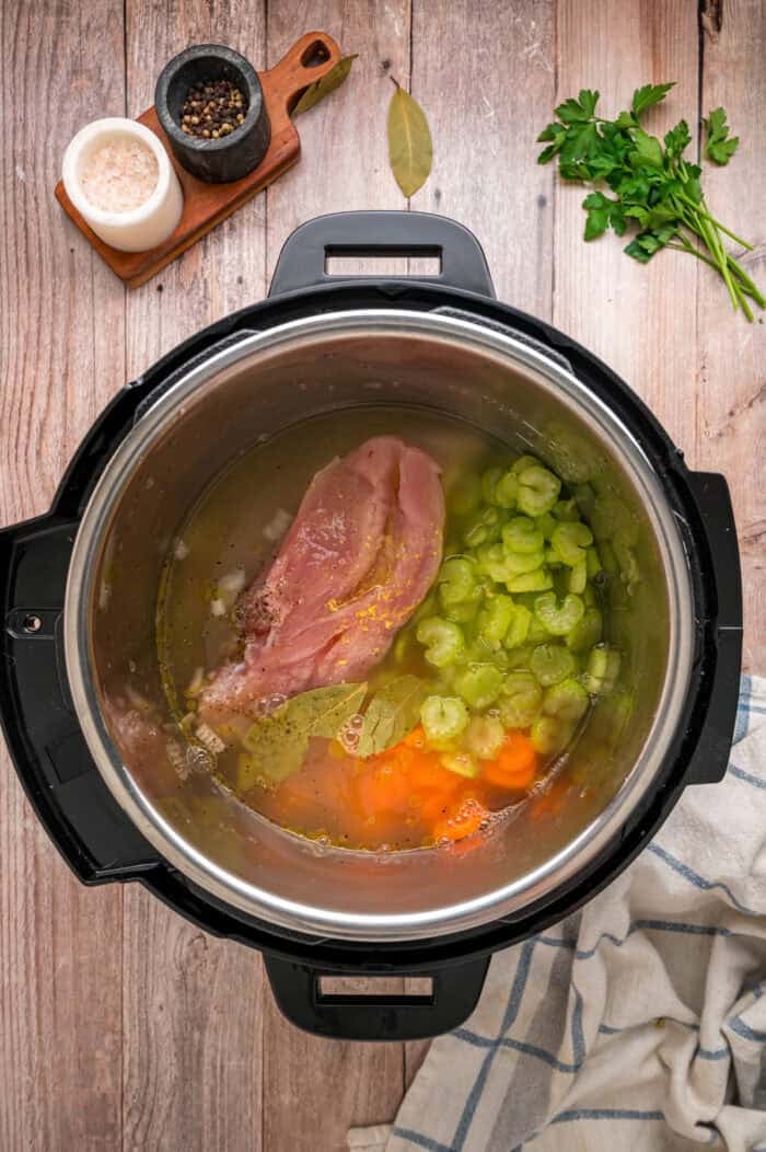 With egg noodles, shredded chicken, carrots, and celery, this Instant Pot Chicken Noodle Soup is classic comfort food made quick and easy. Broth, chicken, celery, and carrots in an Instant Pot