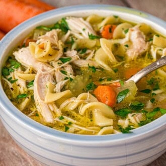 Instant Pot Chicken Noodles Soup feature