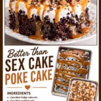 Better than Sex Cake pin